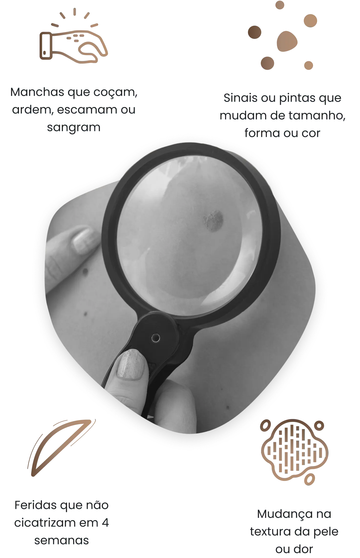 Nossa Causa - Banner (3 IMG1).png