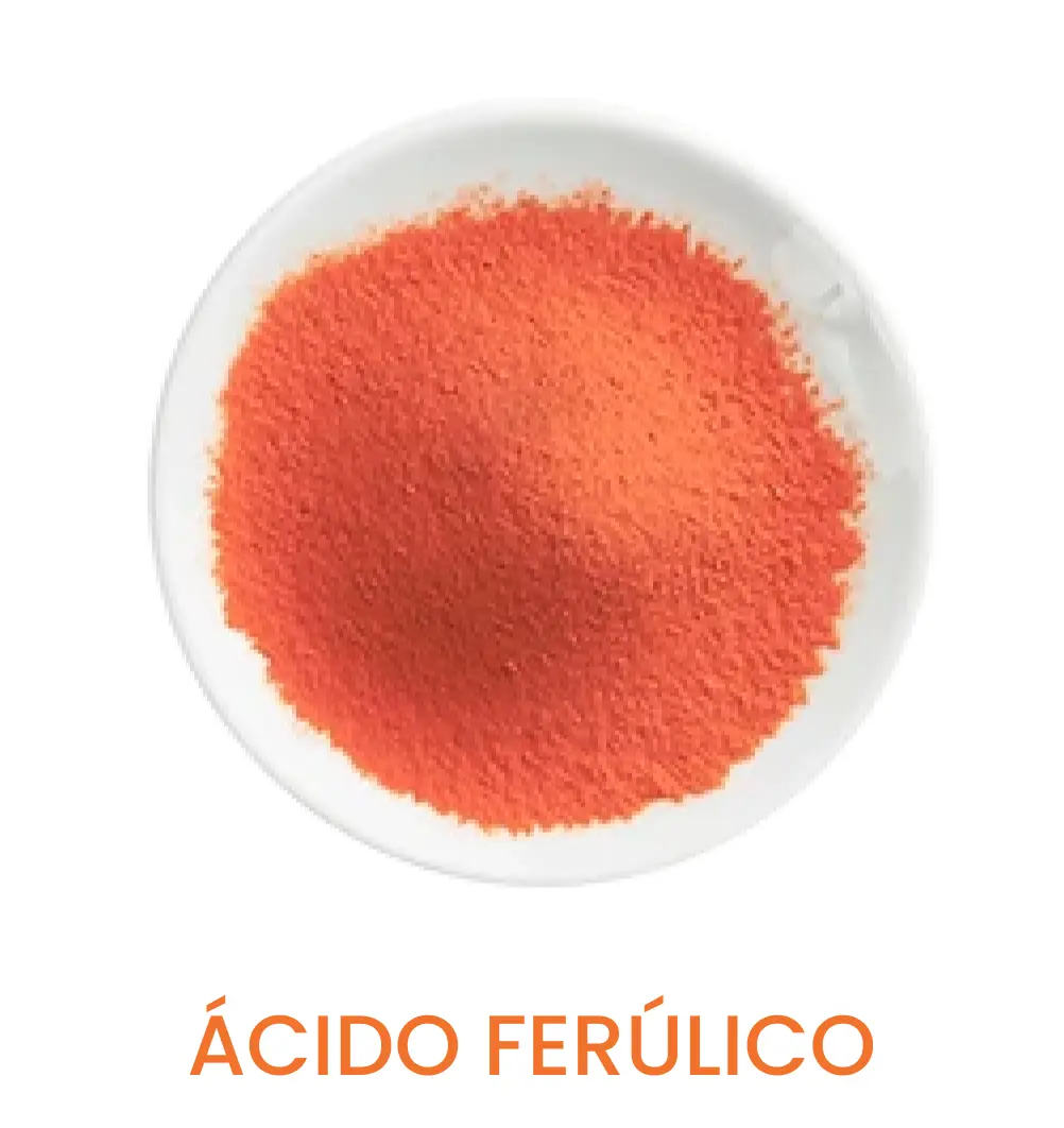 Vitamina C 15 - Banner (2 IMG4).png