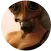 Manginellitaisa.png