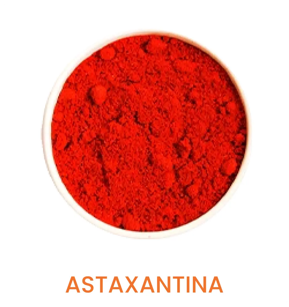 Vitamina C 15 - Banner (2 IMG3).png