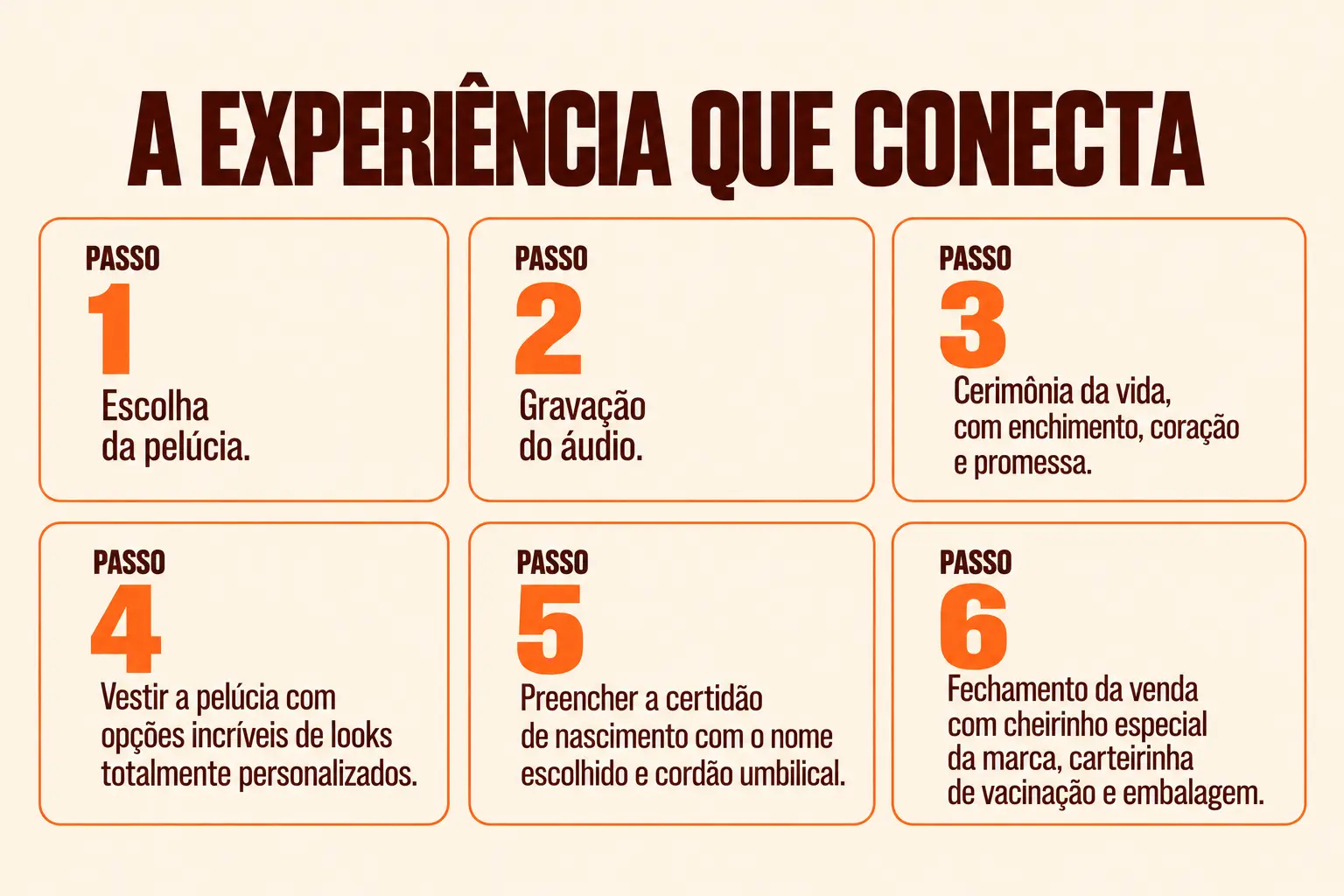 imagem3.PNG