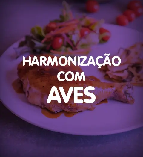 ADEGA Ecommerce Site Web Baner HarmonizaþÒo 359x393px2.jpg