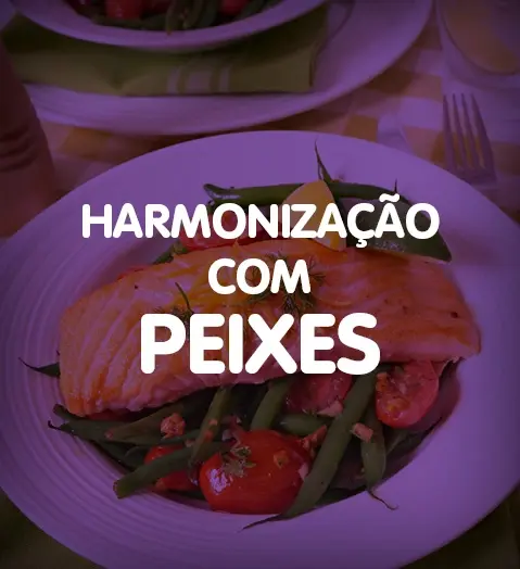 ADEGA Ecommerce Site Web Baner HarmonizaþÒo 359x393px3.jpg