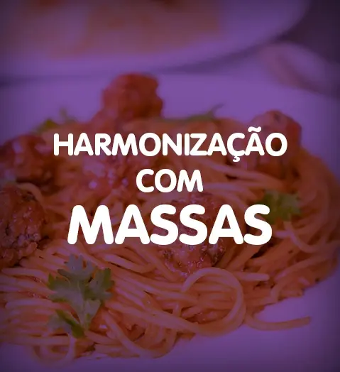 ADEGA Ecommerce Site Web Baner HarmonizaþÒo 359x393px4.jpg