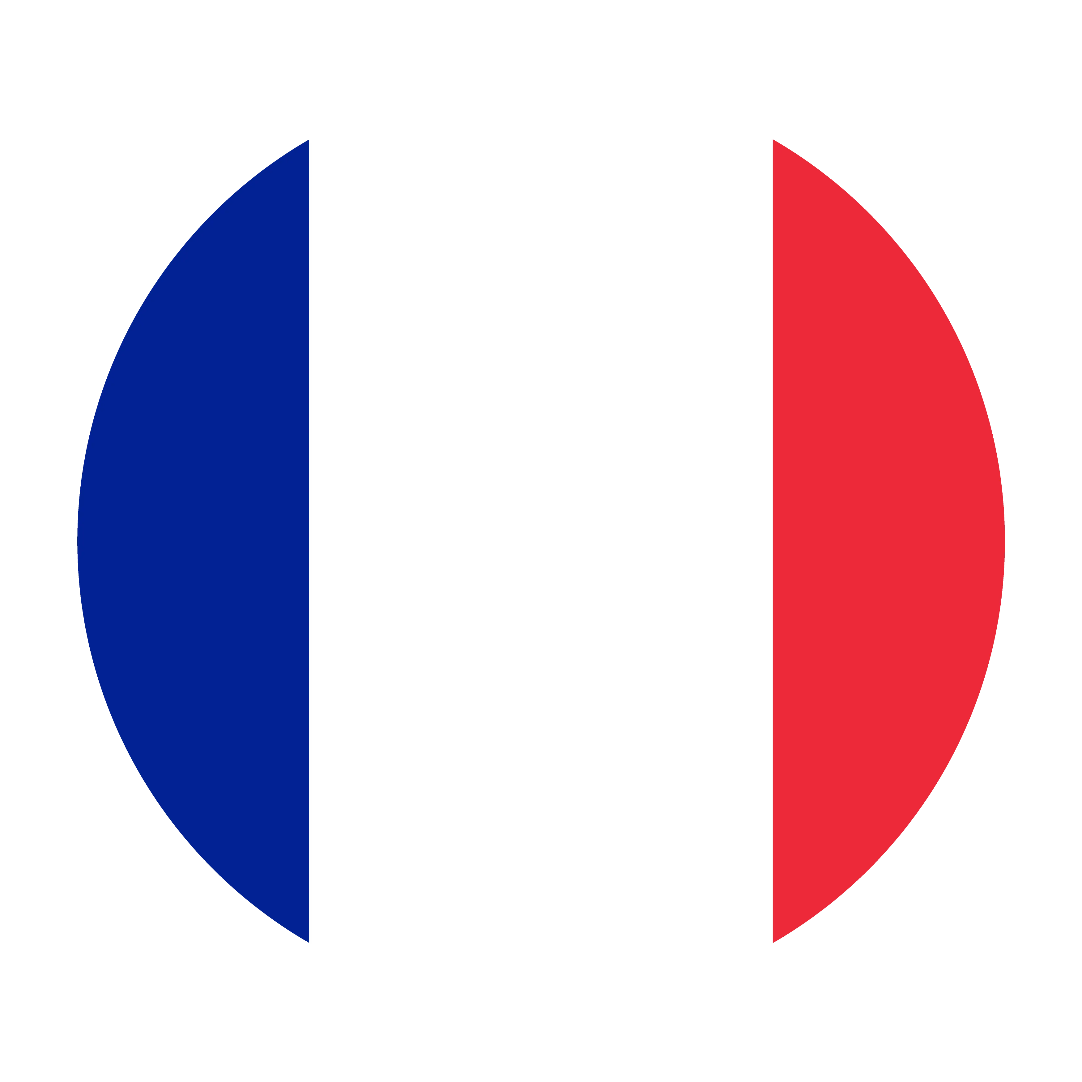 vecteezy_france-flat-rounded-flag-with-transparent-background_16328882.png