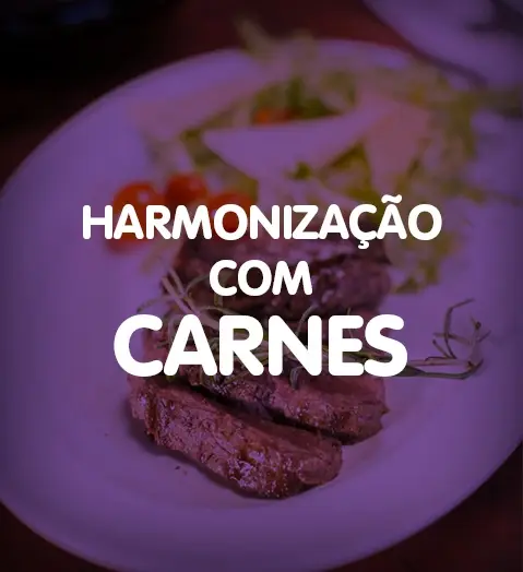ADEGA Ecommerce Site Web Baner HarmonizaþÒo 359x393px.jpg