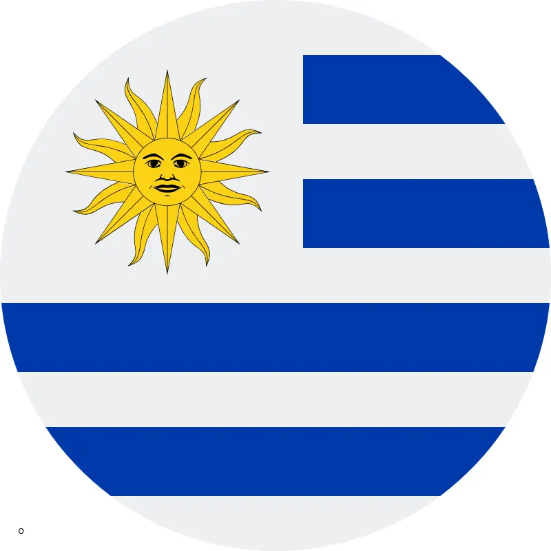 o (1).png