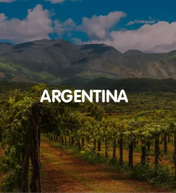 ADEGA-PAÍSES-1920x600px_01.png