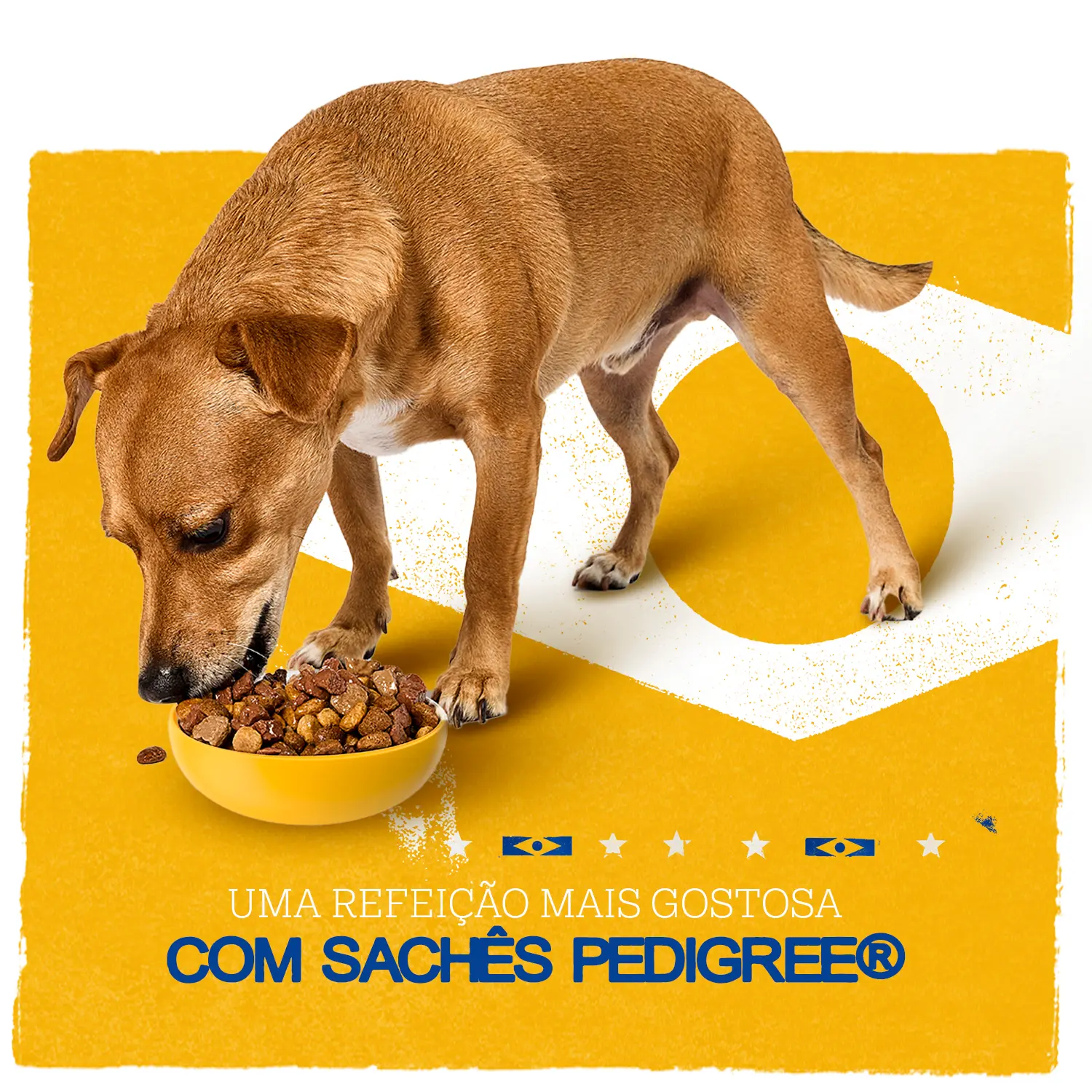 Rodapé 1.png