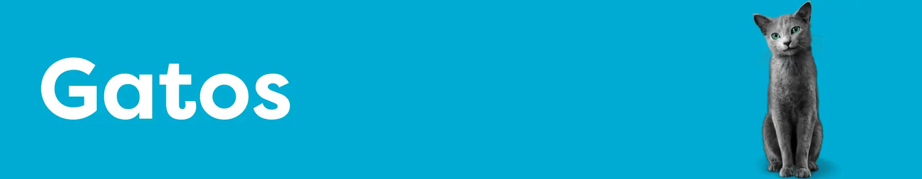 novosbanners_Desk_Gatos Padrão.png