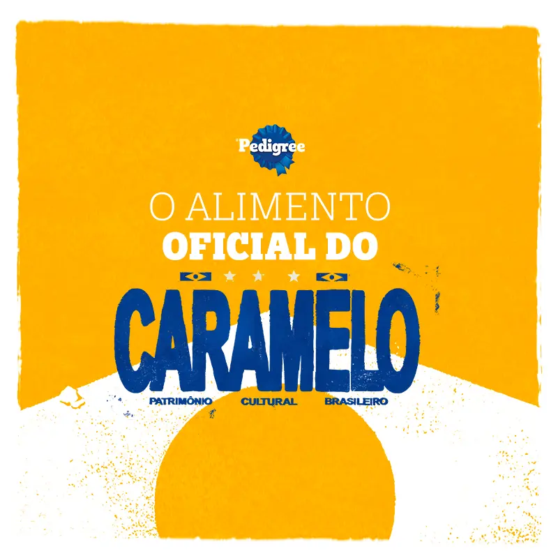 Banner 1.png