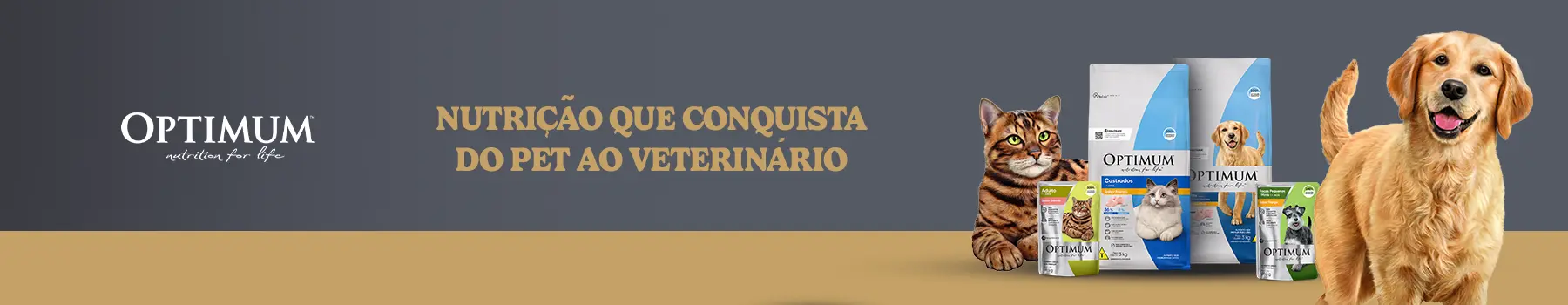 Header Desk (7).png