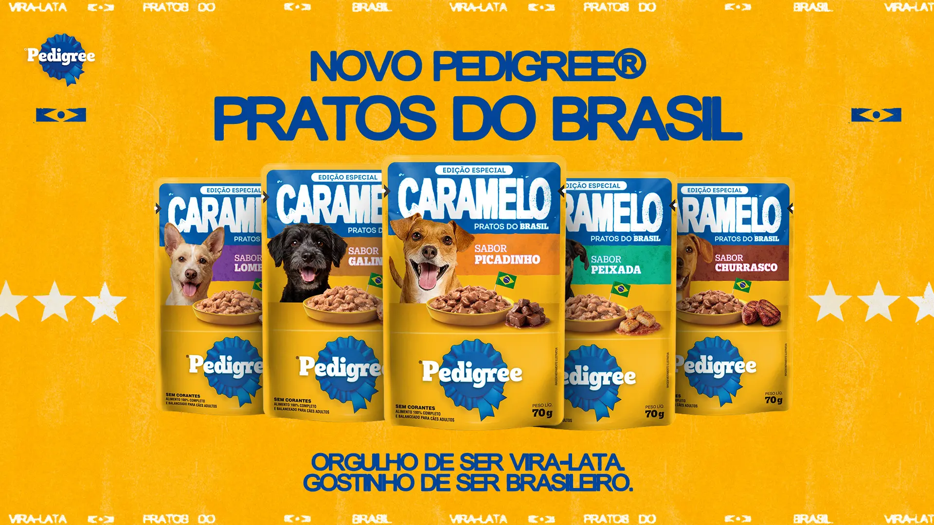 KV Produto_Vira-Lata 02.png