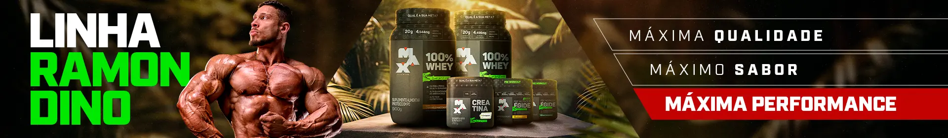 Banner-topo linha dino.jpg