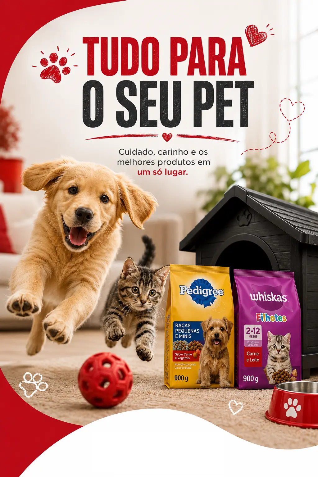 ChatGPT Image 20 de ago. de 2026, 16_20_41.png