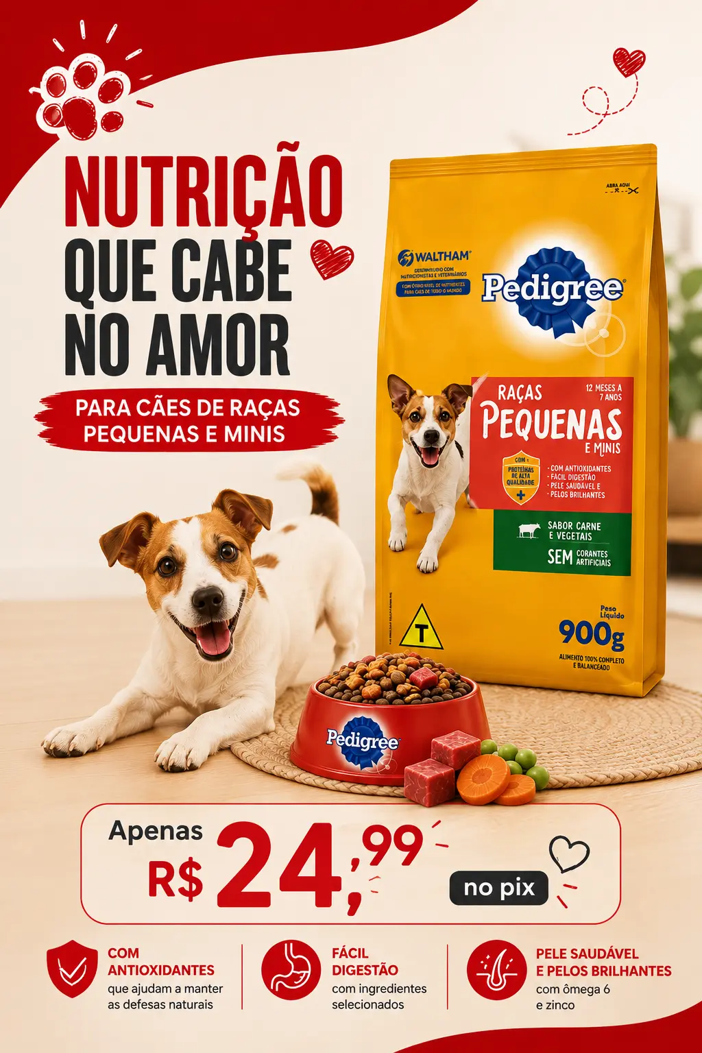 ChatGPT Image 20 de ago. de 2026, 16_45_21.png