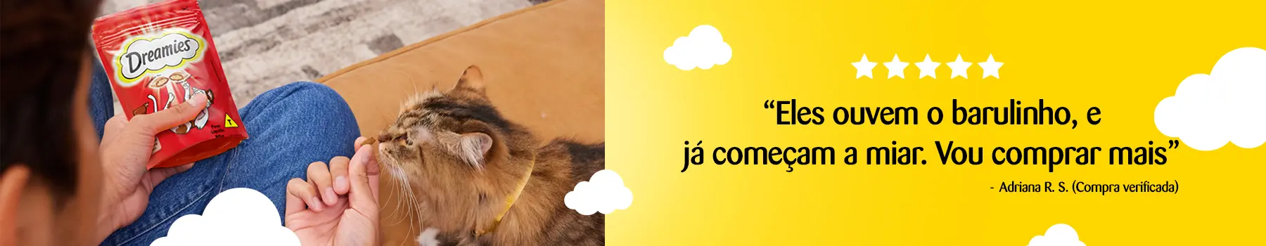 Banner 01 (4).png