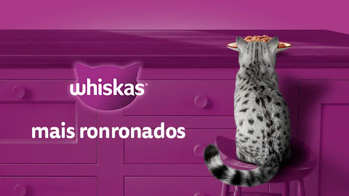 Banner Rodapé 1.png