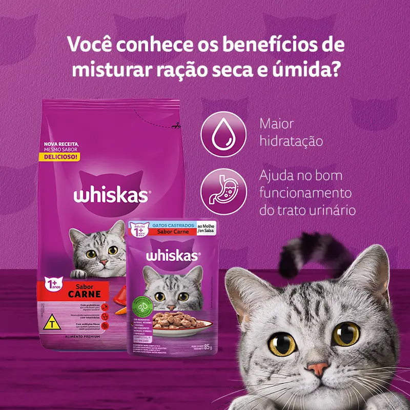 Banner 01.png