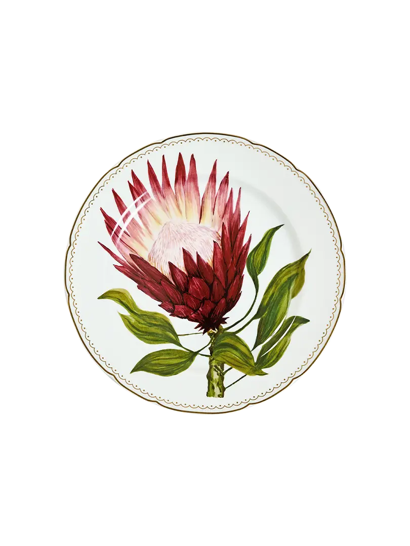 prato-raso-botânica.png