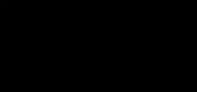 preto_03.jpg