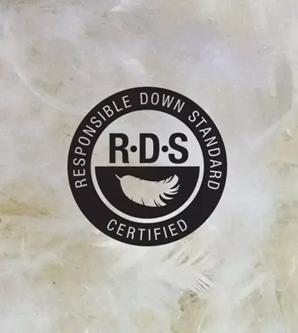 rds_mobile.png