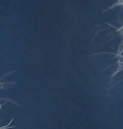 mobile-pluma.png