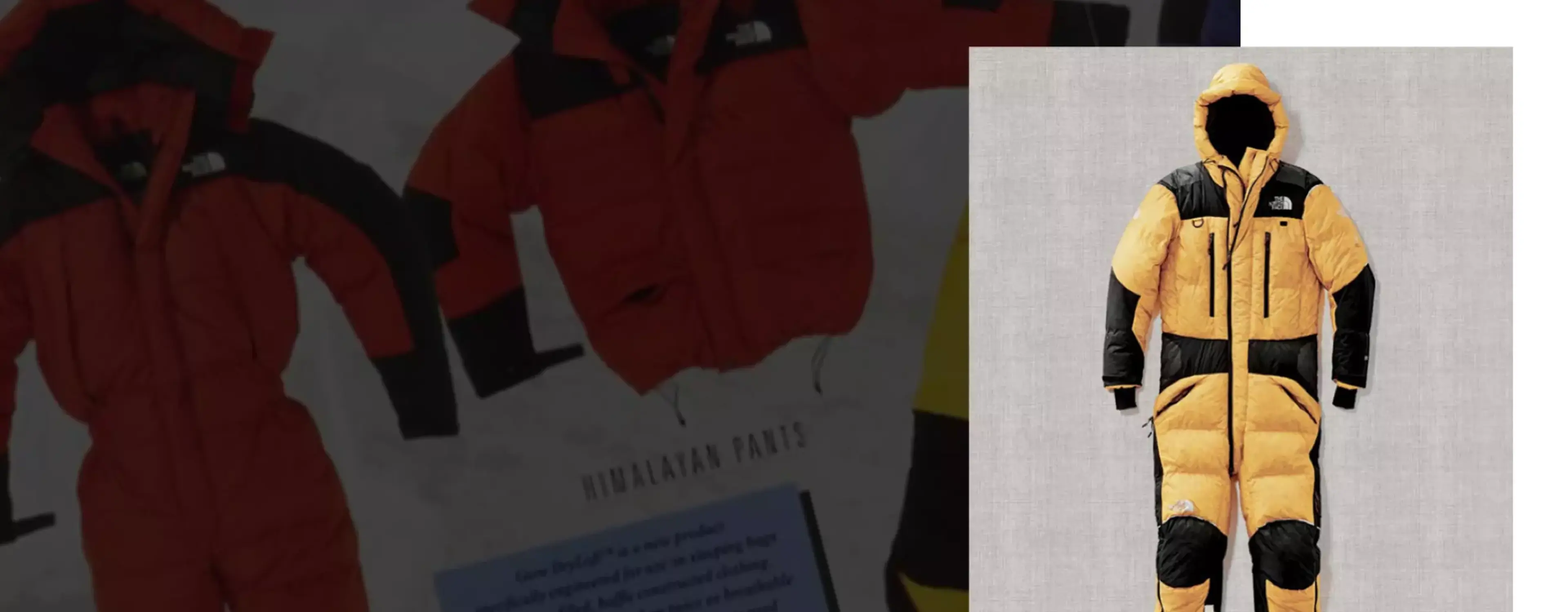 himalayan_suit.png