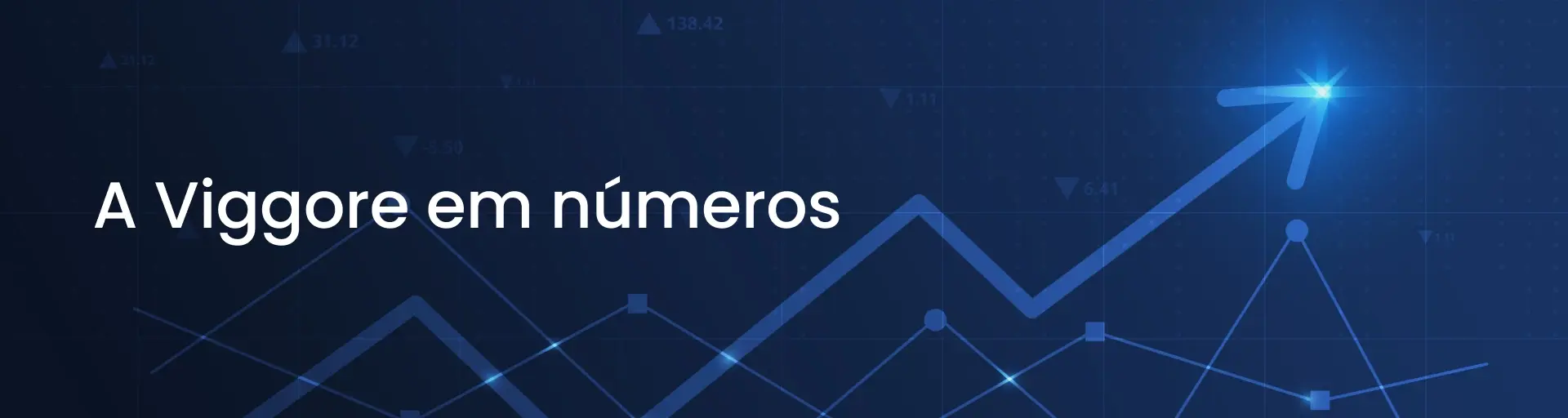 Viggore em números 2.png