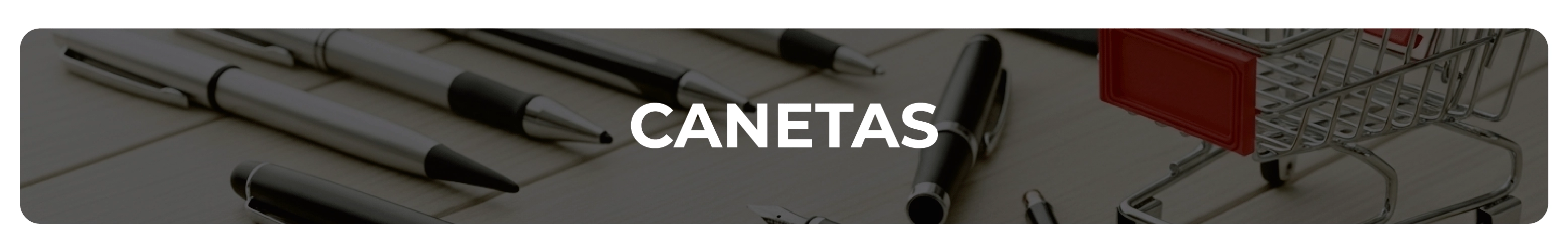 Prancheta 1 cópia 17.png