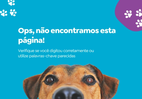 Mobile - V2_Página não encontrada (500 x 350 px).png