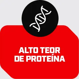 PROTEÍNA.jpg