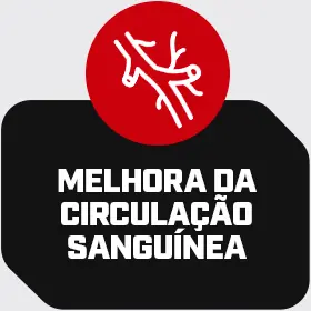 CIRCULAÇÃO.jpg