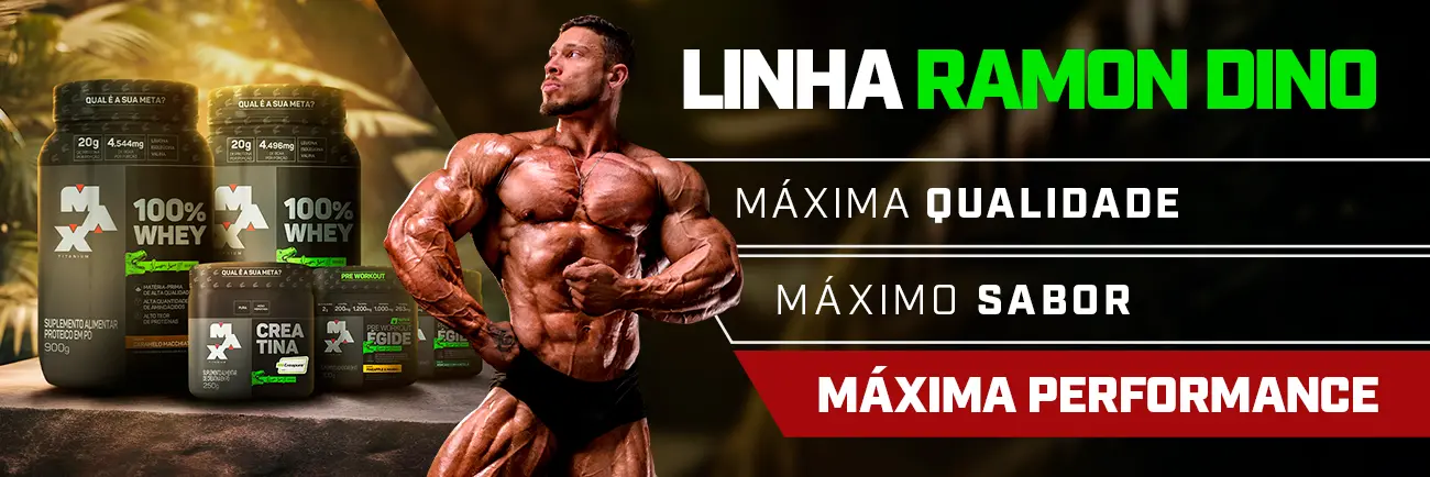 MAX-BANNER-CATEGORIA-LINHA-DINO-MOBILE.jpg
