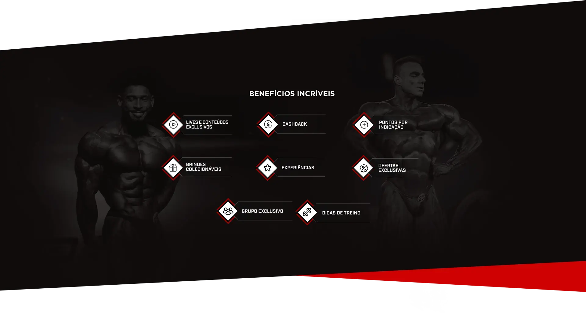 Banner (2) - IMG1.png