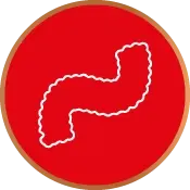 circulos_categorias_FESTÃO_175x175px.png
