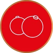 circulos_categorias_BOLASNATAL_175x175px.png