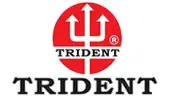 Item → Link → logo-trident.jpg.png
