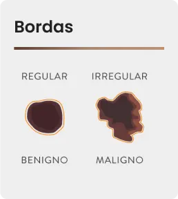 Bordas.png