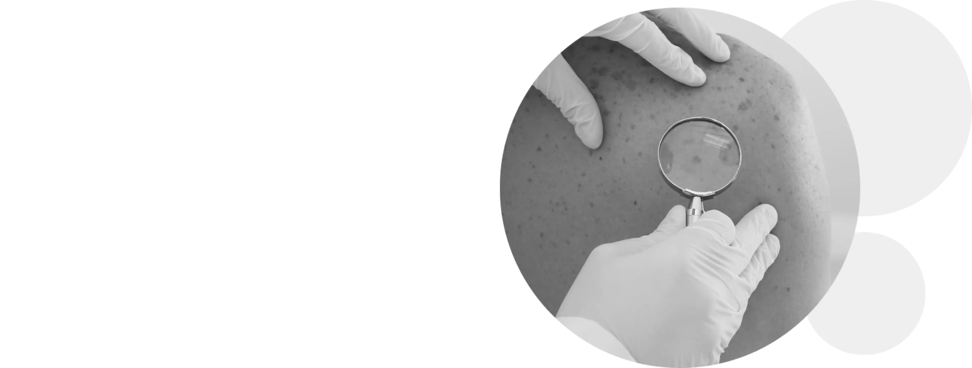 Quem Somos - Banner (4).png