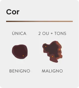 Cor.png