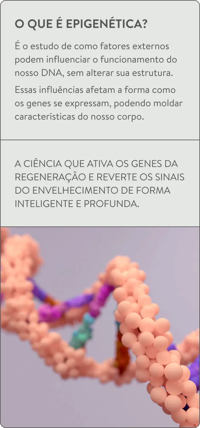 Epigenetica.png