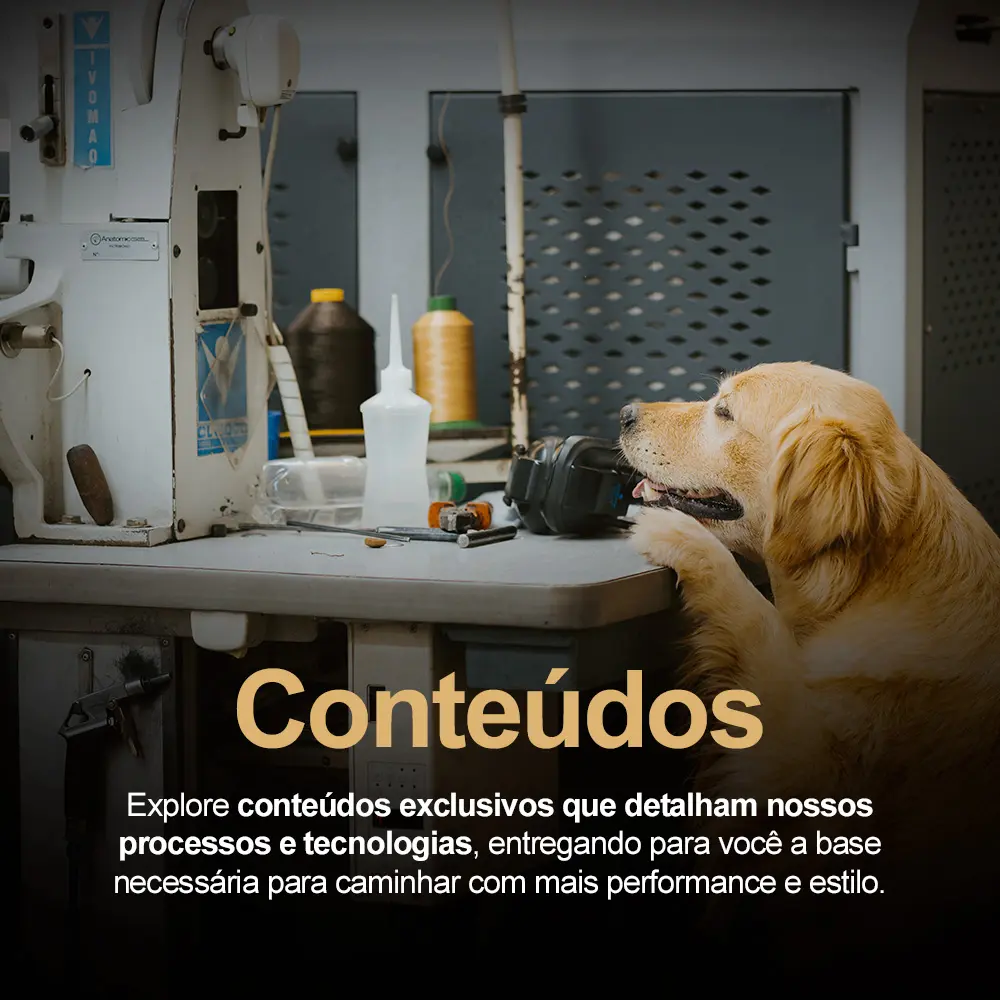 conteudo-mobile.webp