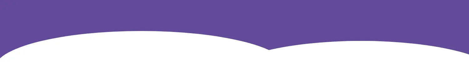 Sem nome (1500 x 200 px).png