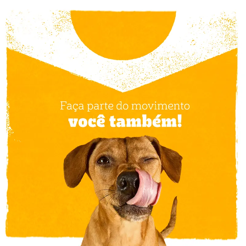 Banner 4.png