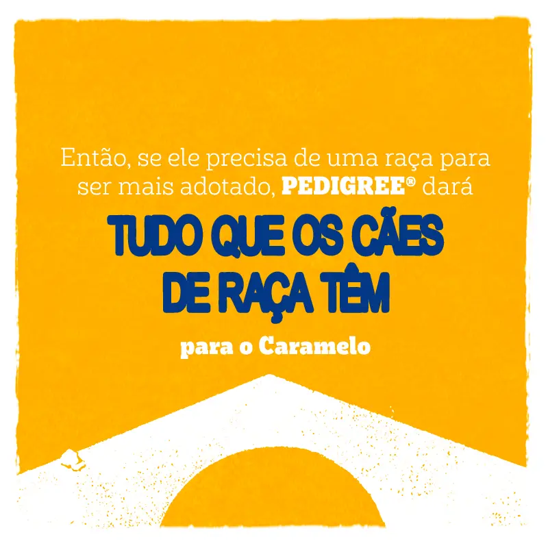 Banner 3.png