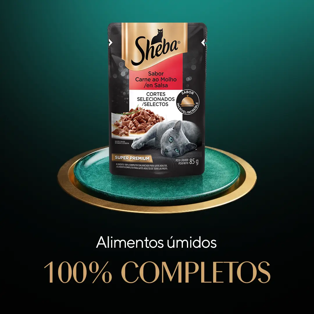 Banner 03.png
