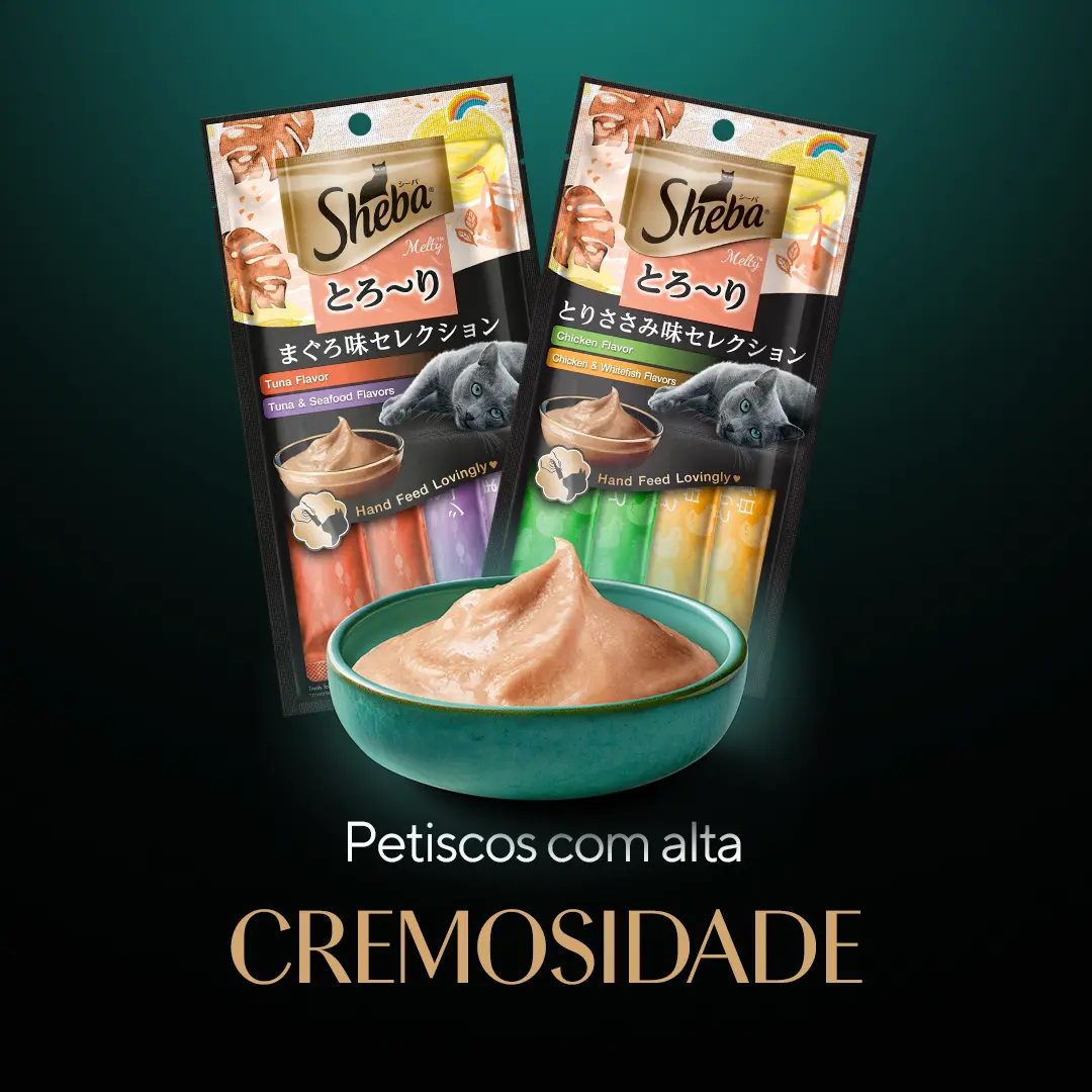Banner 04.png