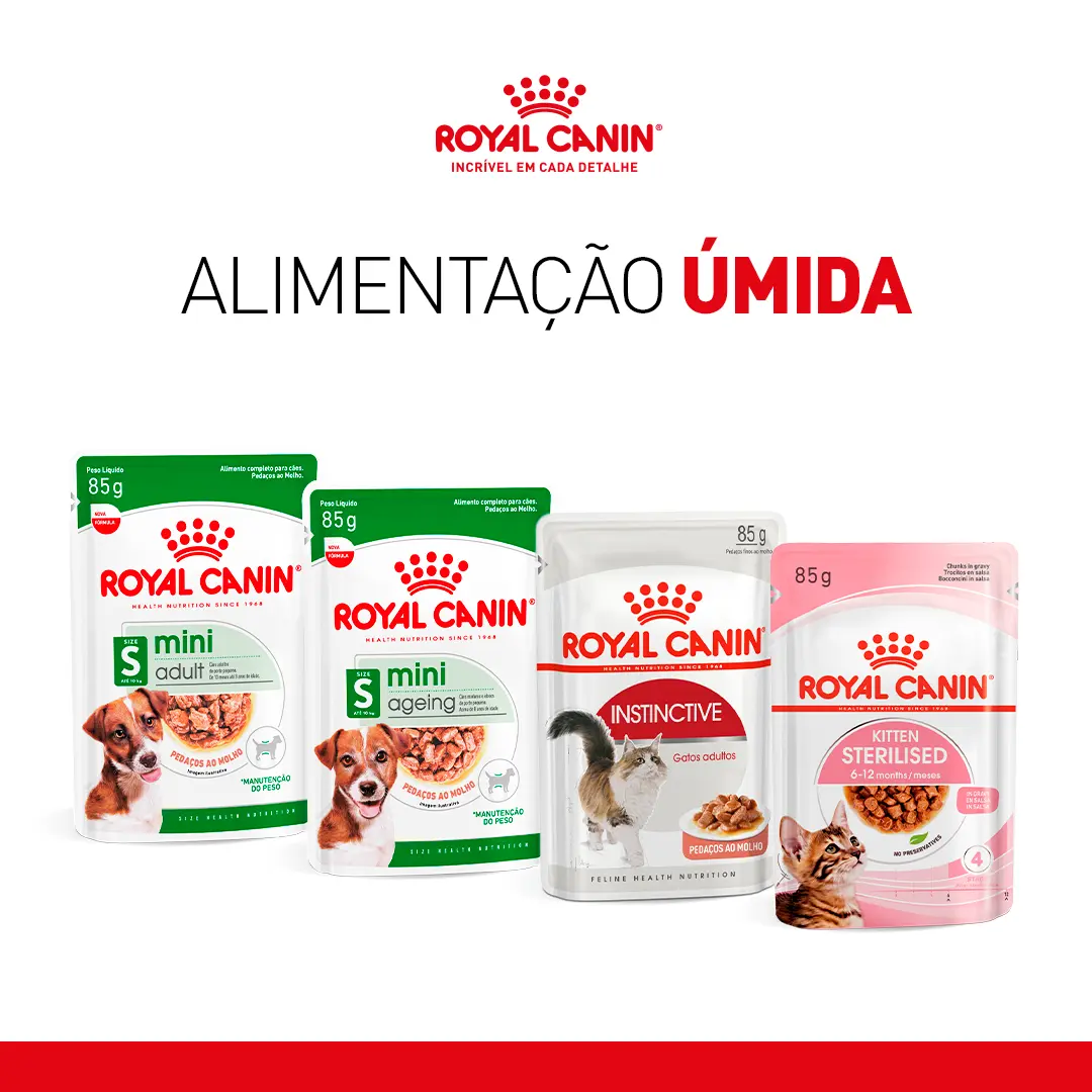 Alimentação Úmida