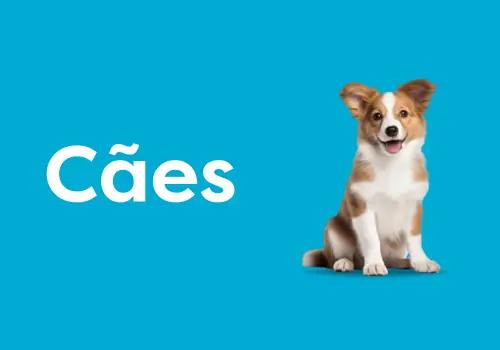 Mobile_Cães Padrão.png